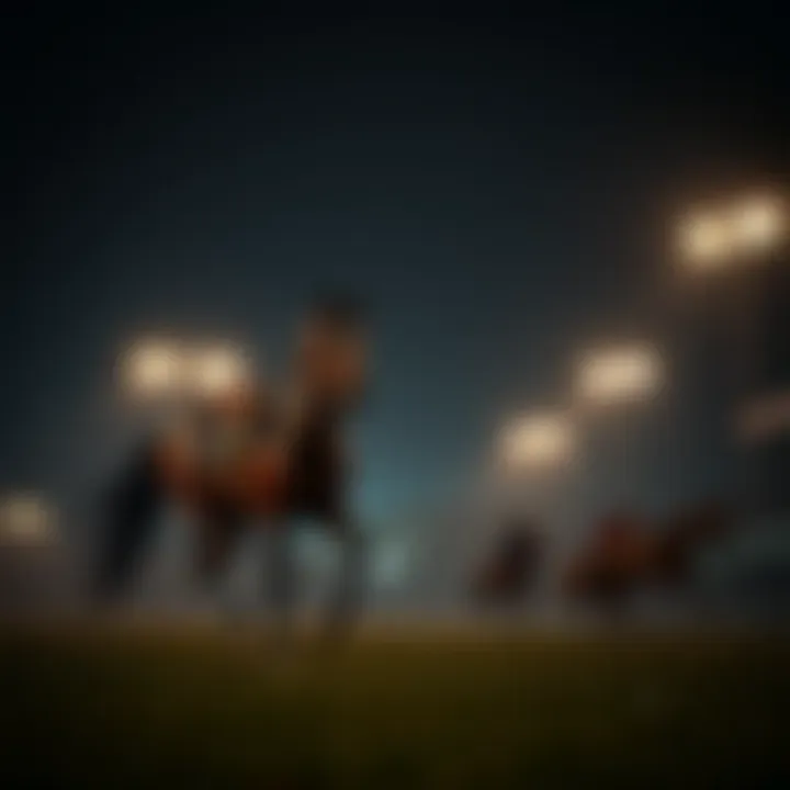 Magnificent 인도에서의 온라인 룰렛: 이해와 전략