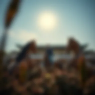 Magnificent 카지노 게임: 전략과 경험
