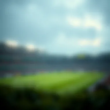 Magnificent m.bet365에 대한 종합적인 탐구