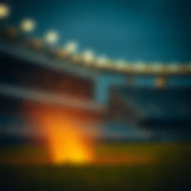 베팅에 대한 탐구: 트레이딩과 베팅 전략 Summary