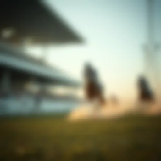 복싱에 베팅하기: 전략과 실행 Introduction