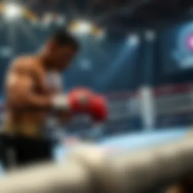 Popular platforms for boxing betting