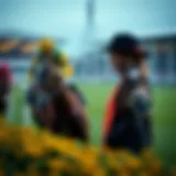 Analysis of Cheltenham betting odds