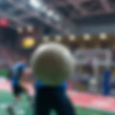 Major Handball Leagues and Tournaments Major leagues and tournaments in handball