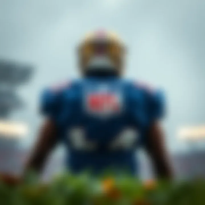 NFL 베팅의 세계 Summary