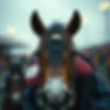 온라인 비디오 포커 플레이하기 Introduction