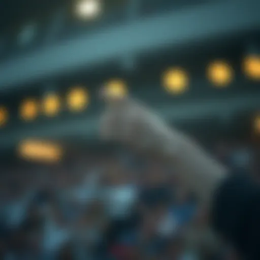 온라인 카지노 게임: 이해와 접근 Introduction