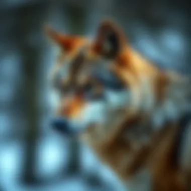 Notable Wolf Gold: 게임의 매력과 전략